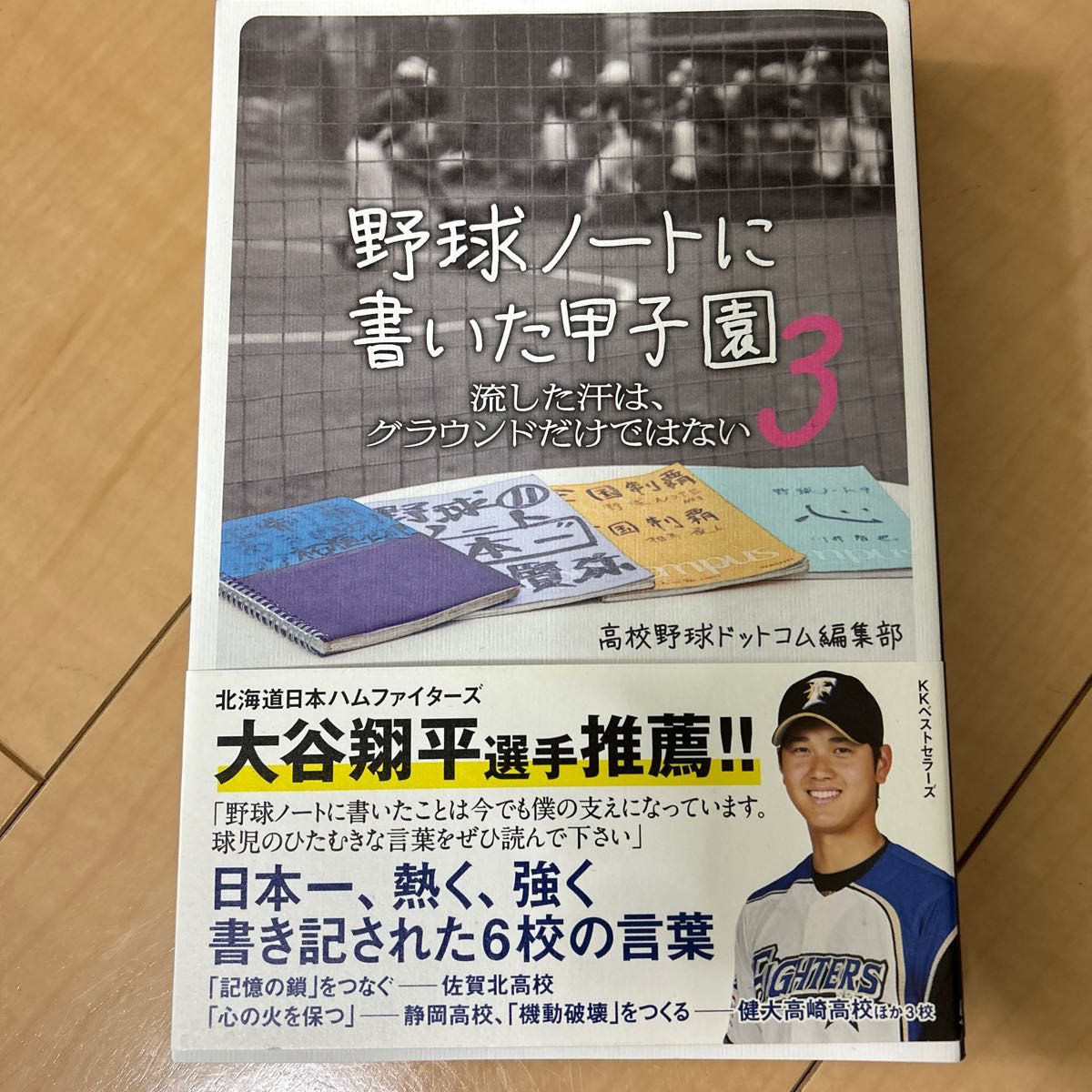 野球ノートに書いた甲子園3