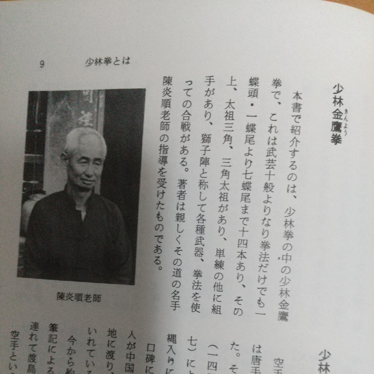 佐藤金兵衛　少林拳　金鷹拳　昭和50年　　南派　拳法　武術　古武道　空手道　空手　少林寺　_画像6