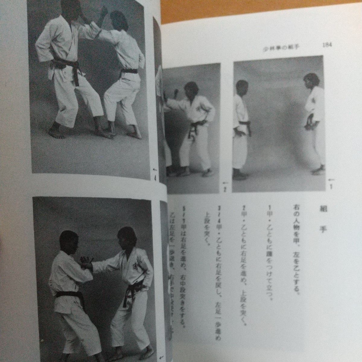 佐藤金兵衛　少林拳　金鷹拳　昭和50年　　南派　拳法　武術　古武道　空手道　空手　少林寺　_画像8