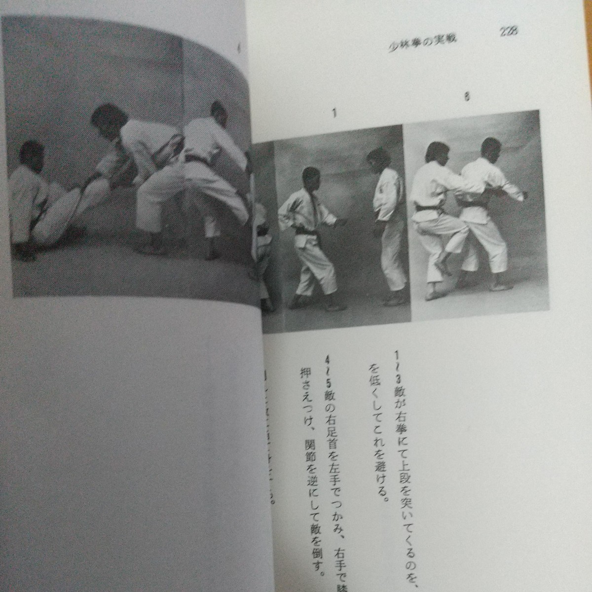 佐藤金兵衛　少林拳　金鷹拳　昭和50年　　南派　拳法　武術　古武道　空手道　空手　少林寺　_画像9