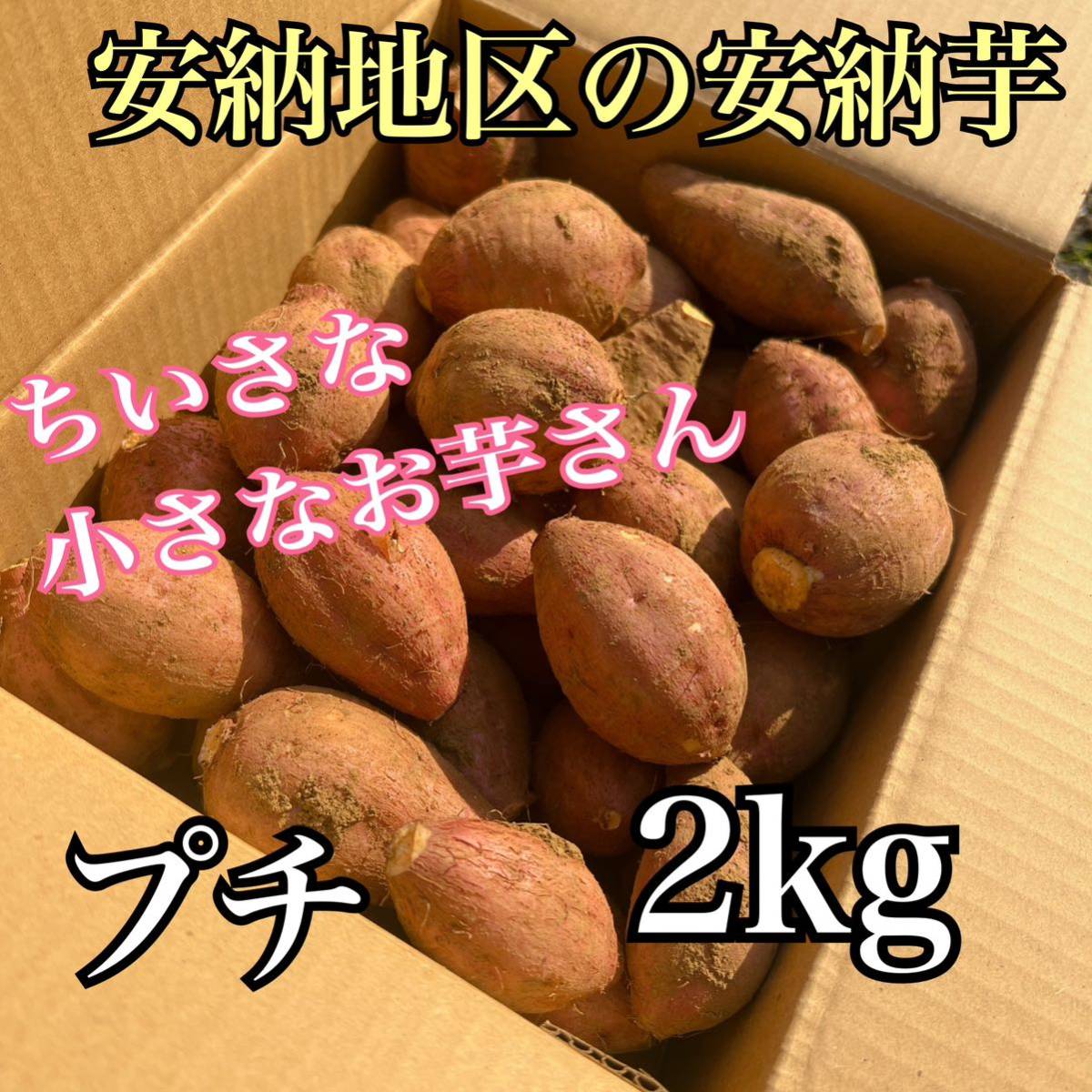 【正真正銘】　種子島安納地区の安納芋　農家直送　プチサイズ　2kg_画像1