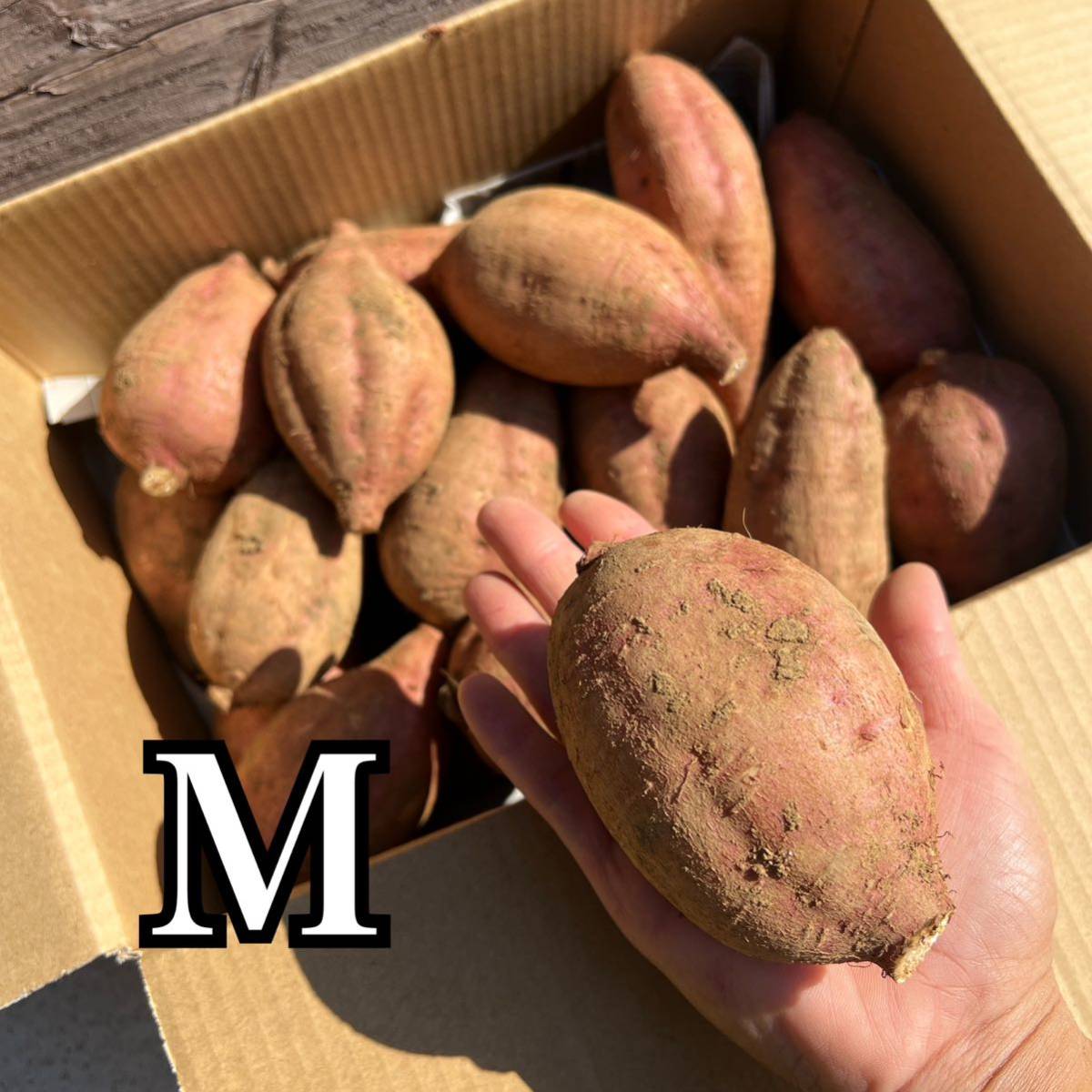 【正真正銘】　種子島安納地区の安納芋　農家直送　MIXサイズ　2kg_画像4