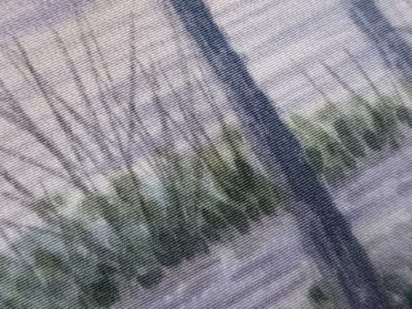 ys6804470; 塩瀬手描き木々風景模様織出し袋帯【着】_画像5