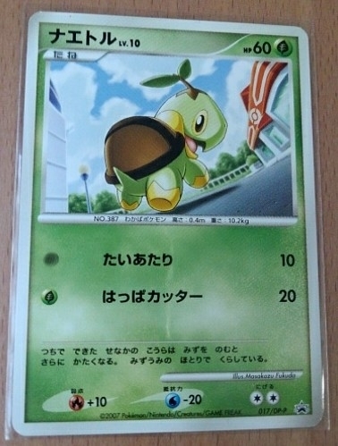 ヤフオク ポケモンカード ナエトル 非売品 未使用 ヤフオク ポケモンカード ナエトル 非売品 未使用
