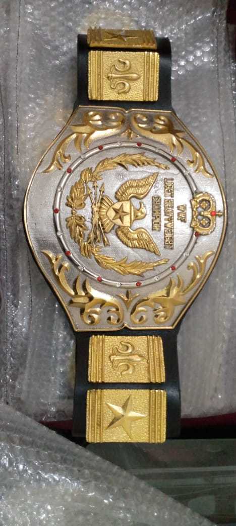  abroad postage included high quality WWF light heavy class . seat Professional Wrestling wrestling Champion belt replica 