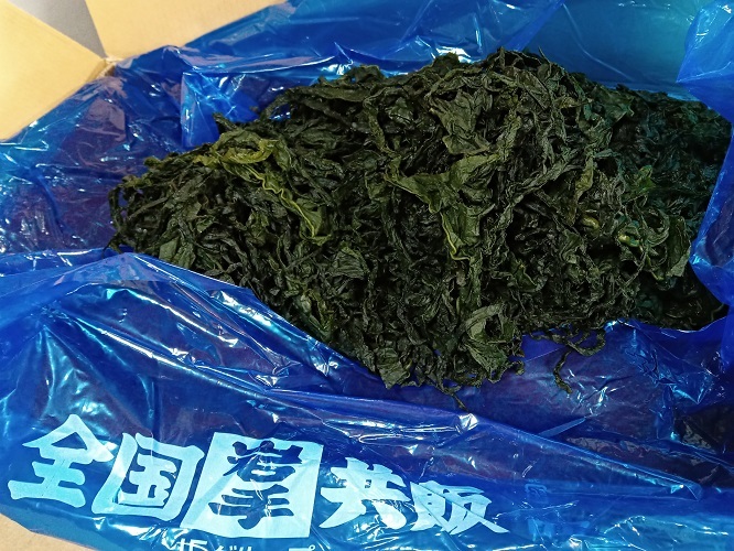 お徳用！三陸産一等外洋塩蔵わかめ【岩手重茂・宮古小成】1ｋｇ_岩手のわかめに荒波に揉まれ歯ごたえあり！