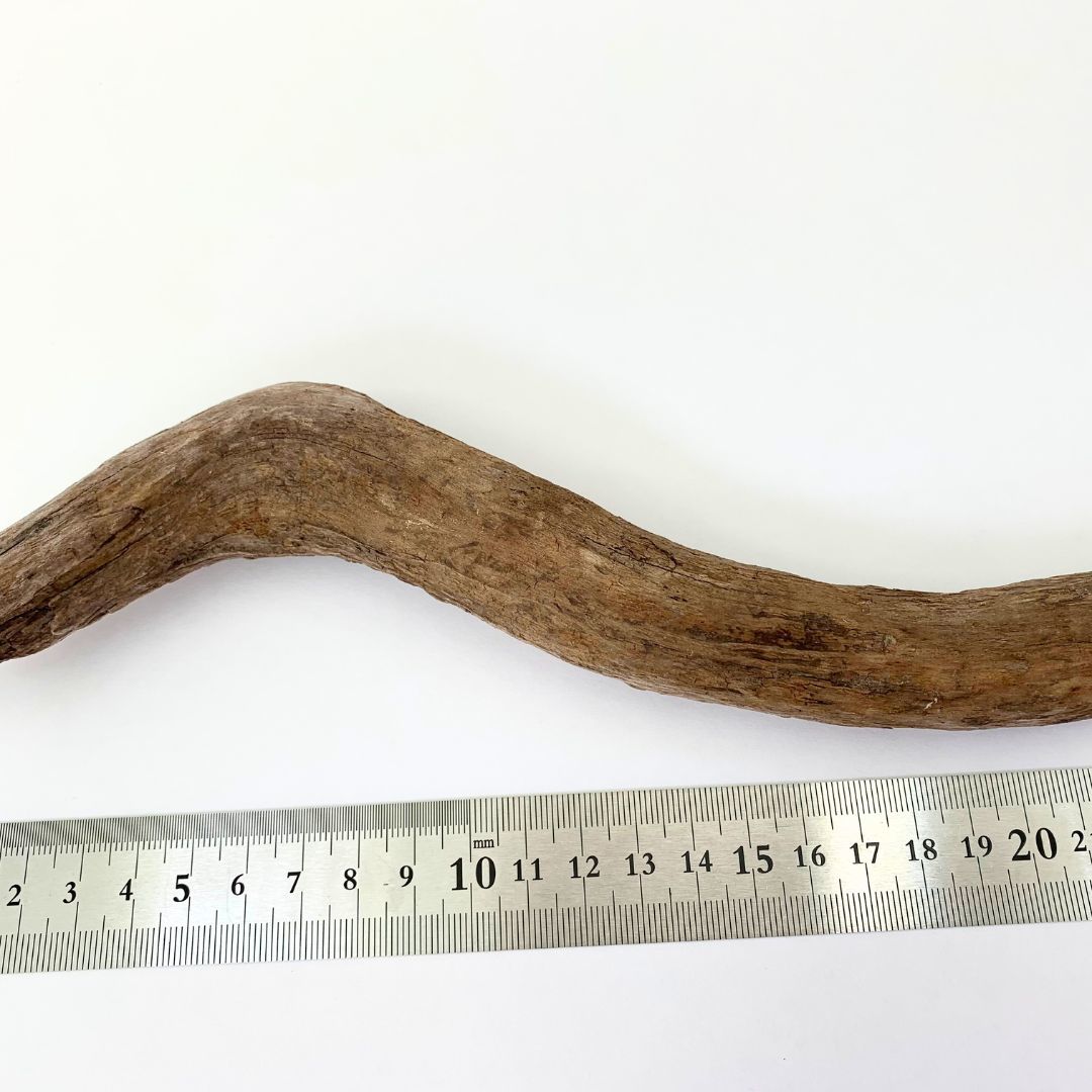 流木 約30㎝ アク抜き済み アクアリウム インテリア ハンドメイド 爬虫類