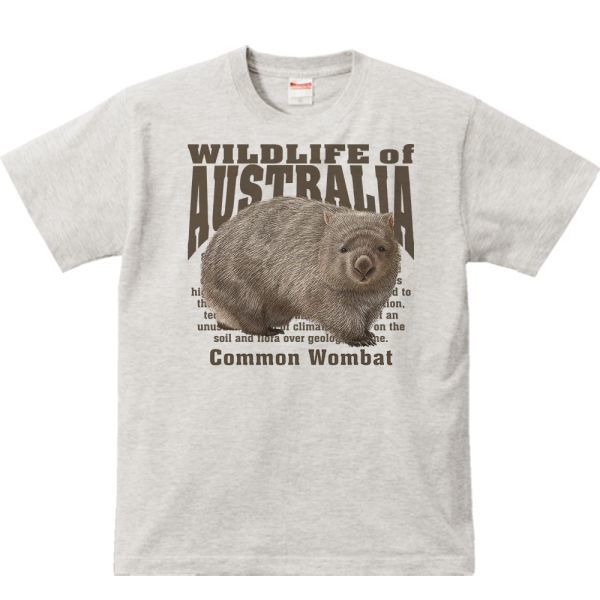 ヒメ ウォンバット（オーストラリアの動物）/半袖Ｔシャツ/メンズM/杢・新品・メール便 送料無料_ヒメ ウォンバット／Tシャツ　
