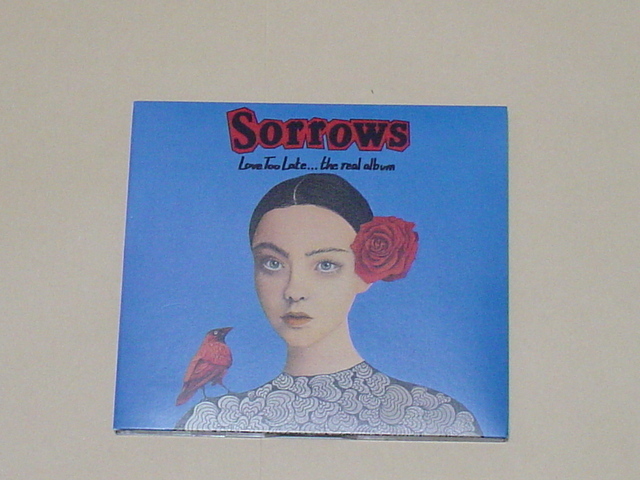 POWERPOP：SORROWS / LOVE TOO LATE...THE REAL ALBUM(THE POPPEES,PLIMSOULS,THE NERVES,PEZBAND,20/20,,RUBINOOS,THE CHOOSERS,MOREFUN)_画像1