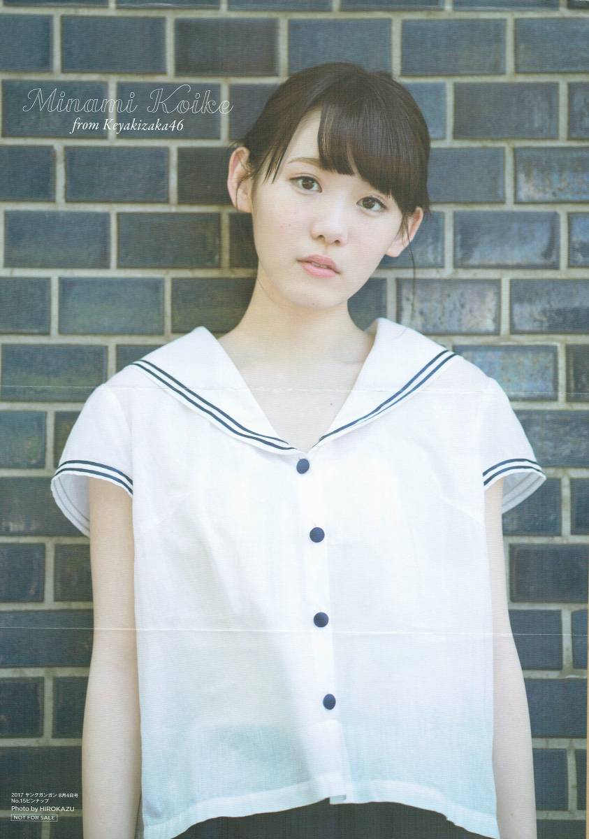 17 ヤングガンガン8月4日号no 15 ピンナップポスター欅坂46 小池美波石森虹花上村莉菜日本代购 买对网