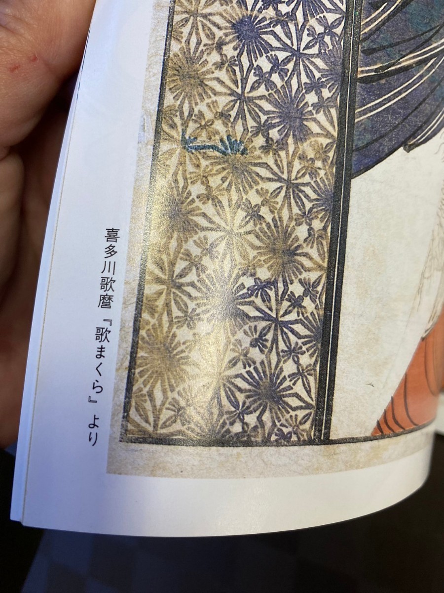 浮世絵の極み　林美一　春画　艶本　吾妻源氏　江戸浮世絵の技　検:古美術　資料　古本　新潮社　浮世絵史　人情本　好色本　アート_画像6