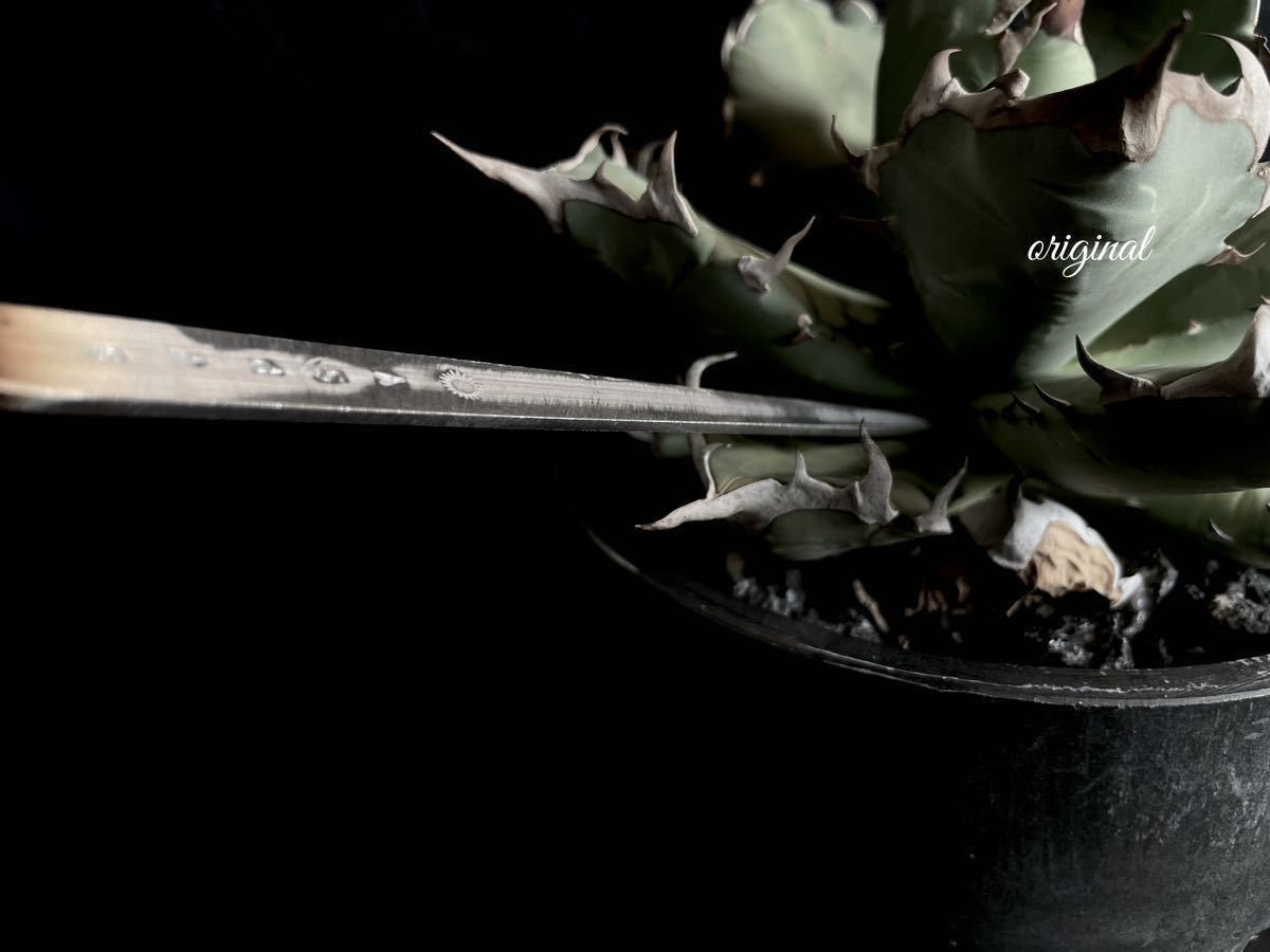 新作ソイルスティック　２本セット　アンティーク　真鍮製　アガベ　チタノタ　グラキリス　パキプス　塊根植物　多肉植物　観葉植物 燻し_画像5