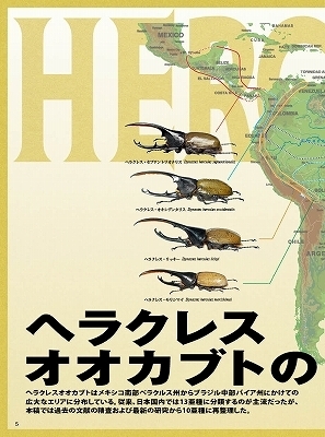 代引き不可！ビークワ84号【絶版】　送料無料！_画像3