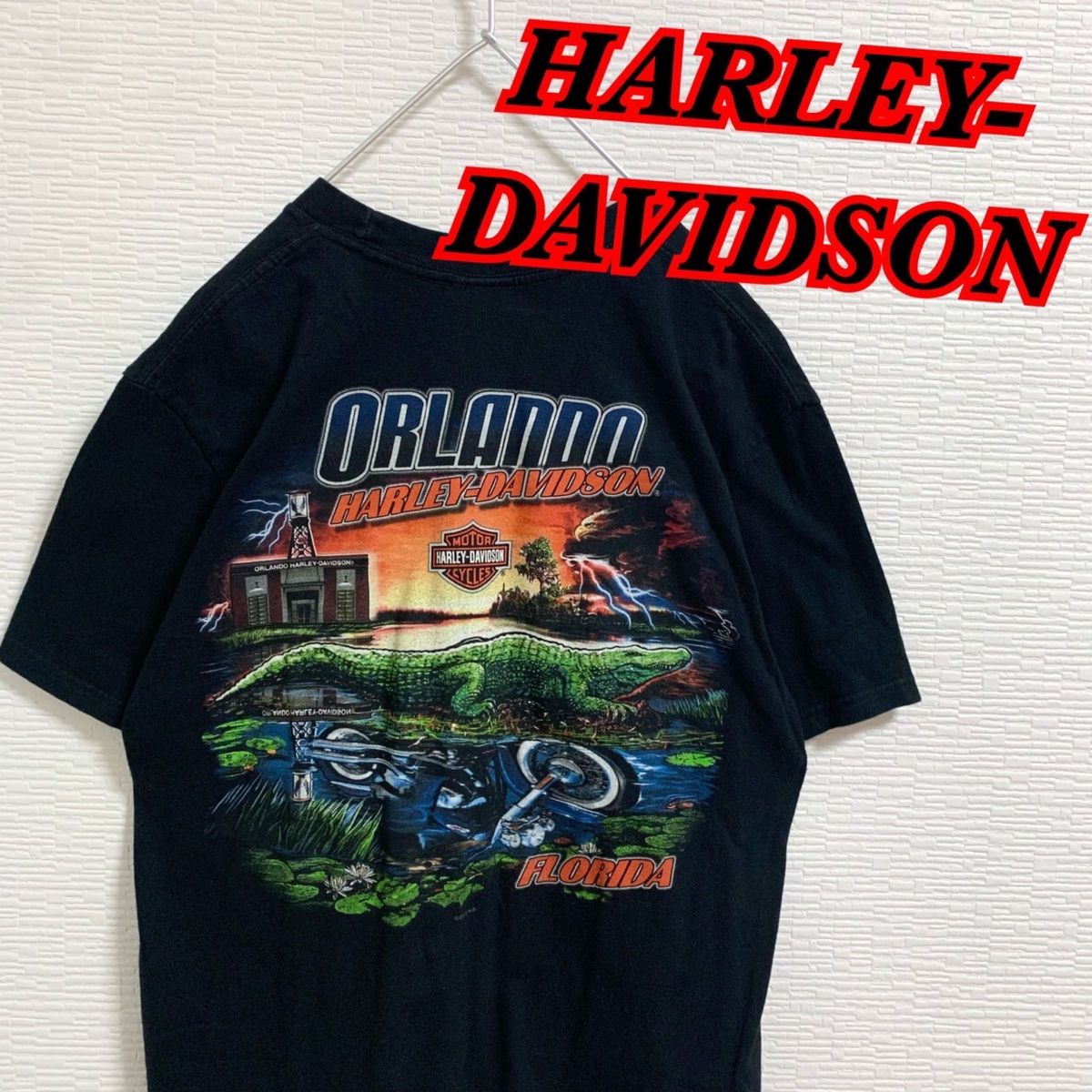 【激レア】 2012年製 ハーレーダビットソン ヴィンテージ Tシャツ Lサイズ アメカジ ビンテージ バイク アメリカン