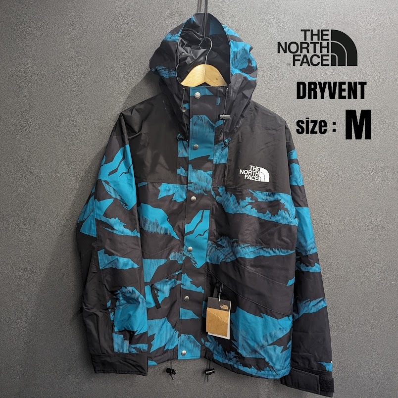 【日本未発売】THE NORTH FACE ノースフェイス マウンテンパーカー メンズ グリーン ブラック/M アウター アメリカ US限定 DRYVENT