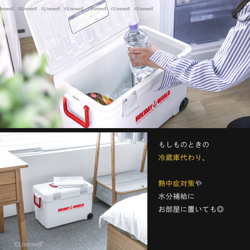 クーラーボックス 小型 保冷力 保冷 保温 釣り 部活 お弁当 保冷バッグ キャンプ用品 コンパクト 買い物 おしゃれ ホリデーワールドLC11L_画像10