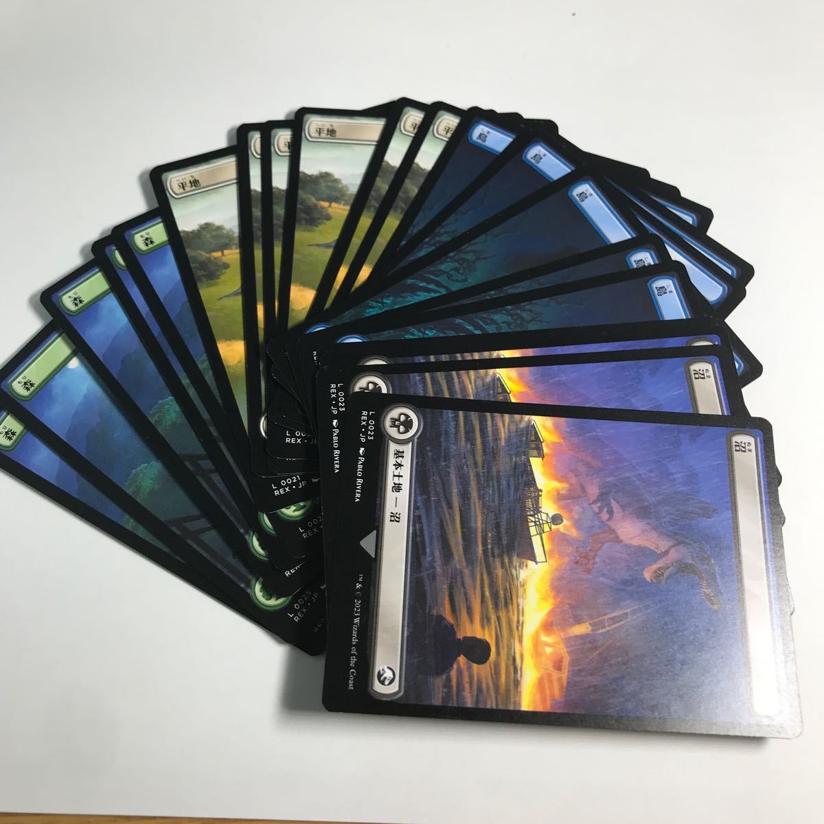 MTG■ジュラシックコレクション■平地、森、沼および島のまとめ売り/日本語/イクサラン：失われし洞窟/REX_画像1