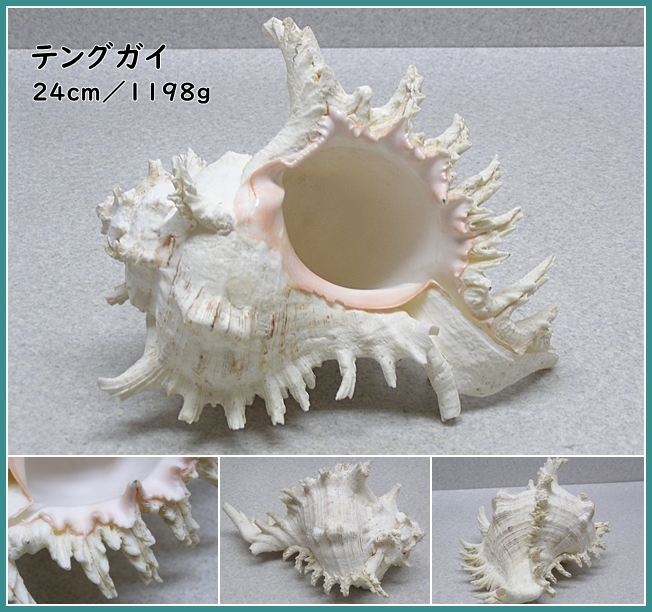 i-img652x612- i-img652x612-