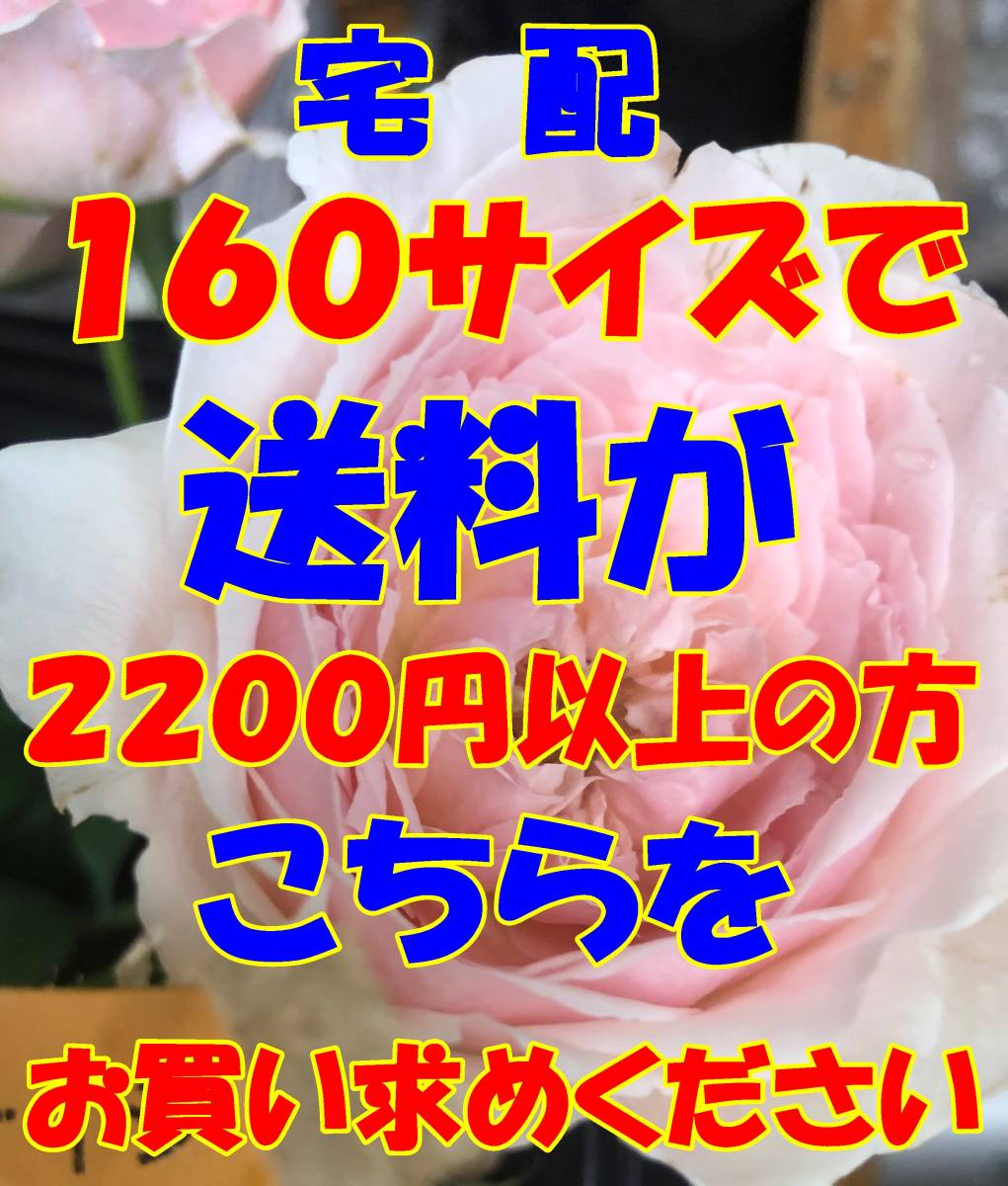 ヤフネコ宅急便 Z160　　宅配　160　サイズで送料が　2200円　以上の方はこちらをお求めください_画像1