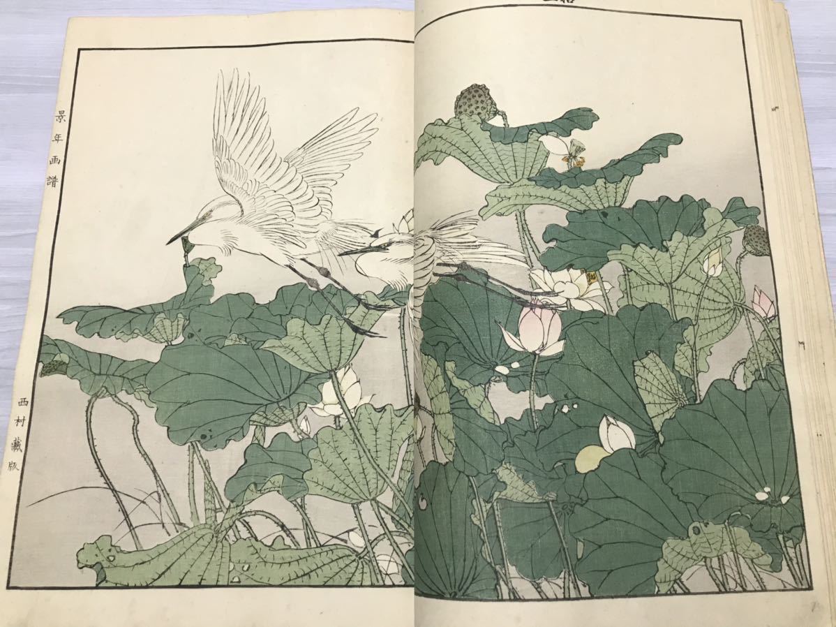 景年花鳥画譜　夏1冊揃　今尾景年画　明治25年　初版、摺良　西村總左衛門　山田芸艸堂刊　輸出用英文広告入　彩色木版画 唐本 和本 浮世絵_画像10