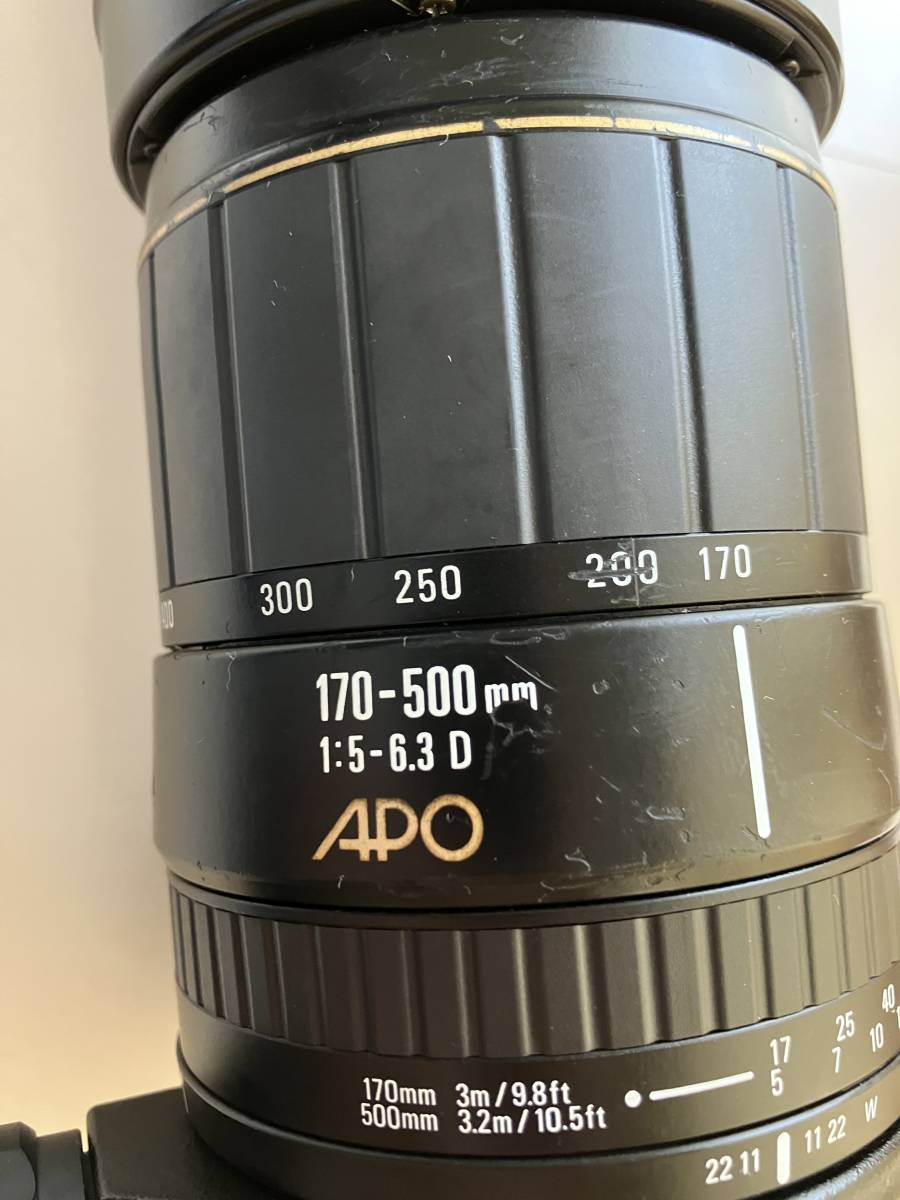 SIGMA APO 170-500mm 1:5-6.3D NikonFマウント オートフォーカス フルサイズ対応_画像7