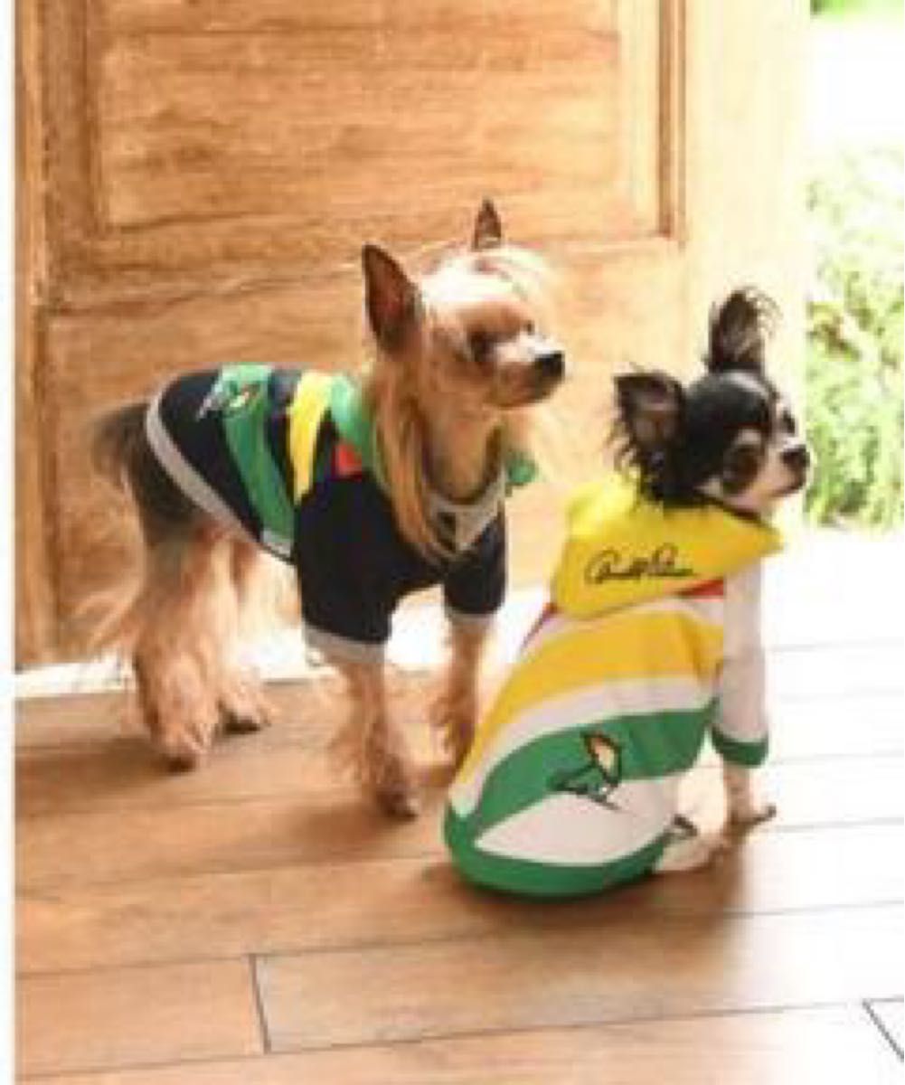 【新品】Arnold Palmer ストライプ パーカーイエローXSアーノルドパーマー犬服ドックウェアパーカー