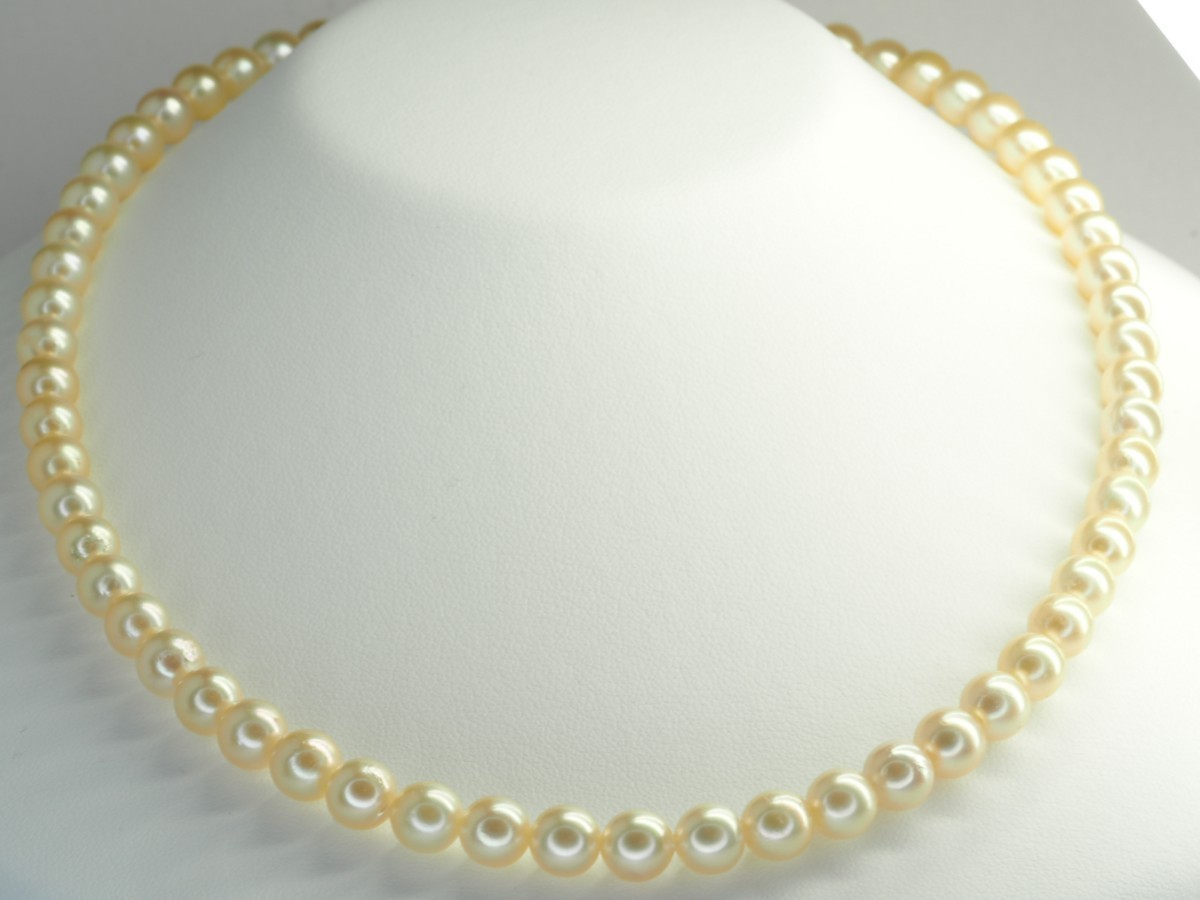 388 田崎真珠　TASAKI　タサキ　極上天然イエローアコヤ本真珠ネックレス　パール7.0mm～7.5mm珠　ご希望の方にタサキの箱をお付け致します