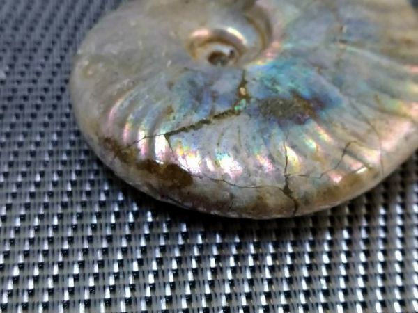  Anne mo Night Anne mo light opal . fossil approximately 60g beautiful goods 