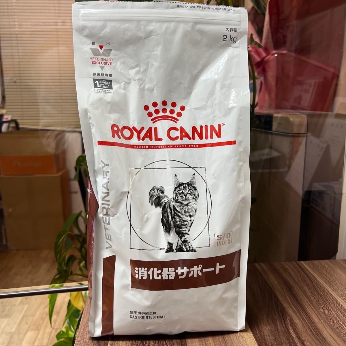 ロイヤルカナン 猫用　消化器サポート開封済み品_画像1