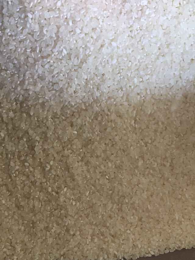 30キロ 令和5年産 淡路島産 コシヒカリ玄米 減農薬 精米対応 農家直送_精米した状態