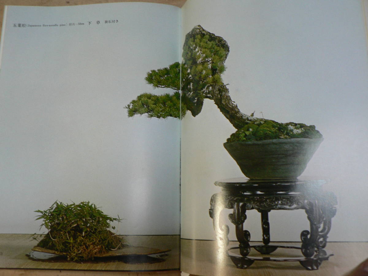 日本盆栽銘品集 正続 2冊 別冊さつき研究 1978・1981年_画像2