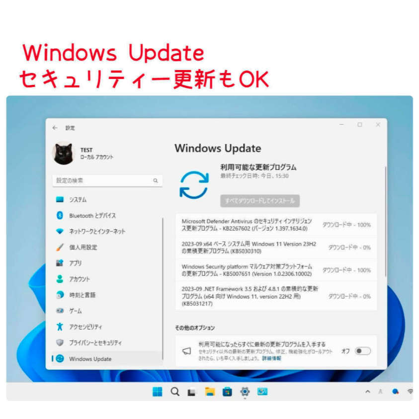 Windows11 最新Ver23H2 (64bit日本語版)11月1日リリース アップグレード専用 DVD_画像3