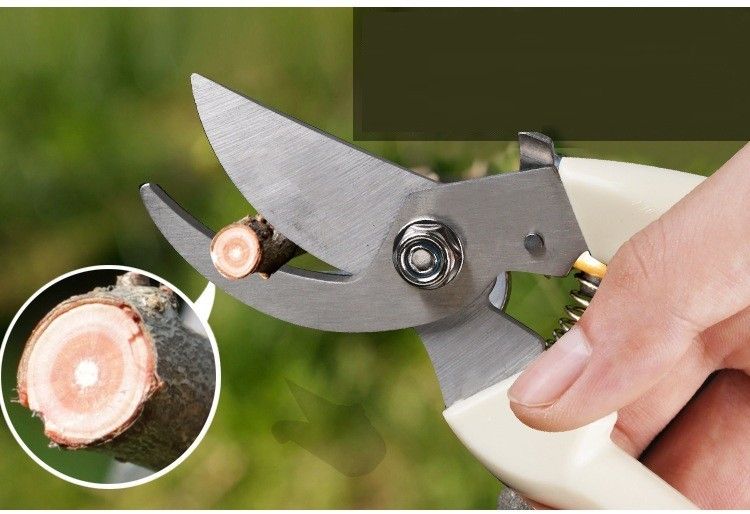 1点園芸はさみ 剪定ばさみ   剪定鋏ハサミ 使いやす  剪定鋏さびない 角度調整可能 剪定 園芸用ナイフ ステンレスはさみ 