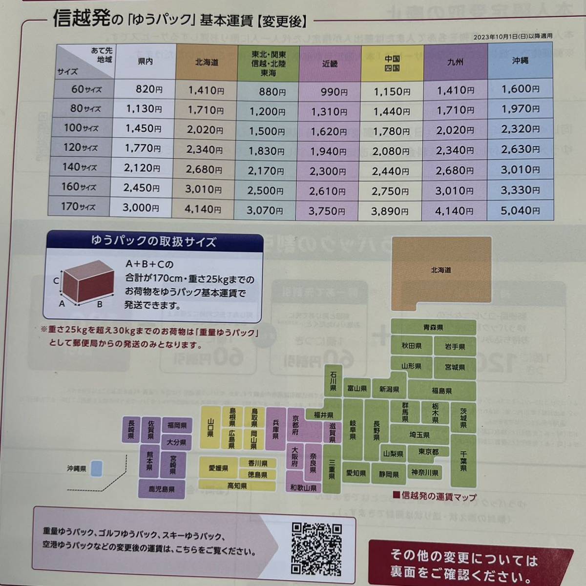 フェロカクタス 実生 黄刺虹裳竜 サボテン多肉植物_画像8