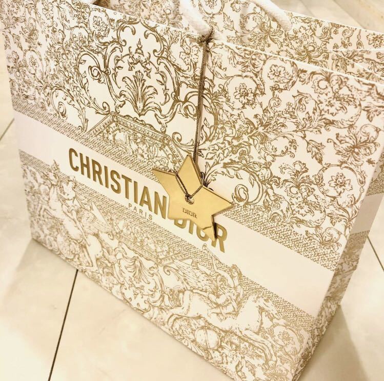  new goods unused Dior Dior 2023 Christmas limitation shopa- paper bag Hori te- shop sack [ Event limitation ] star charm Star star 