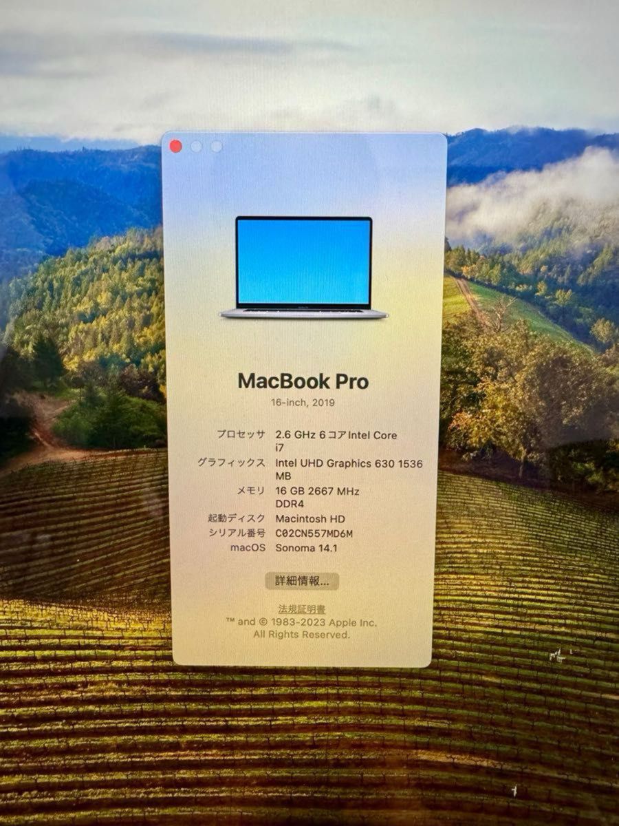 Mac Book Pro 2019 16inch 2.6GHz Intel Core i7 Retina スペースグレイ