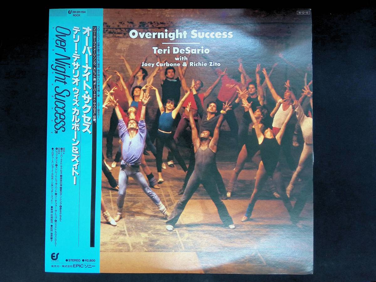 レコード LP　オーバーナイト・サクセス　テリー・デザリオ　Teri DeSario With Joey Carbone & Richie Zito Overnight Success YL112 10_画像1