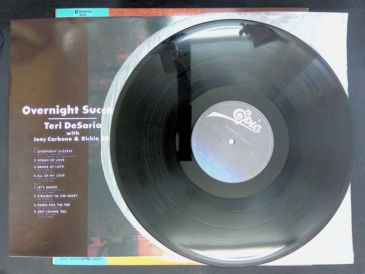 レコード LP　オーバーナイト・サクセス　テリー・デザリオ　Teri DeSario With Joey Carbone & Richie Zito Overnight Success YL112 10_画像4