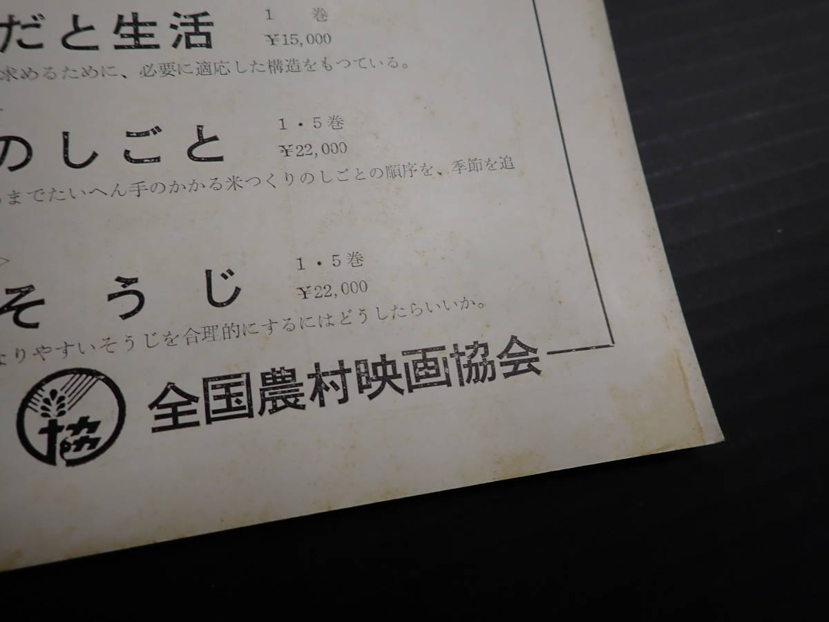 記録映画　1959年5月　座談会「日本の政治」をめぐって　「皇太子結婚のニュース・記録映画」を見る_画像6