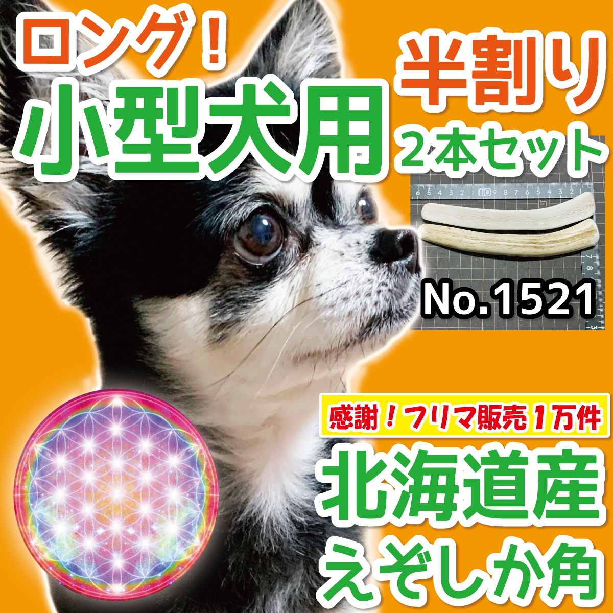 小型犬用 天然 北海道産 蝦夷鹿の角 半割りロング 2本セット 犬の