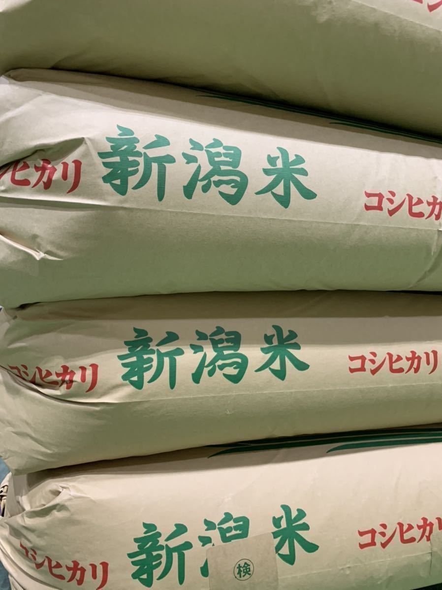 令和5年産　新米　こしいぶき 米 20kg 新潟県　お買い得　安い　生活応援　業務用　精米　白米　送料無料　新潟米 農家直送　_新潟のコシヒカリです