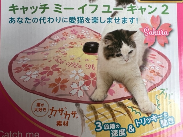 ●猫壱 キャッチミーイフユーキャン2 サクラ_画像2