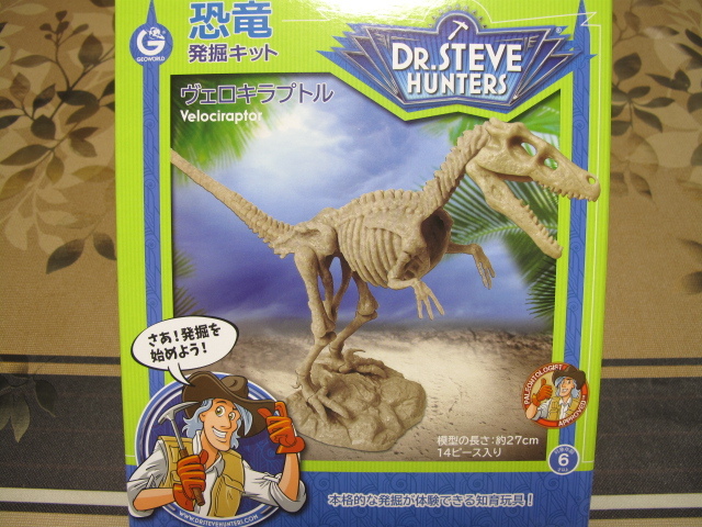  new goods 2 box set dinosaur departure . kit stereo gosaurusverokilaptoru departure . real . departure .. body . is possible intellectual training toy 
