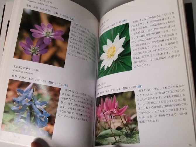  Showa era 62 year the first version six . Alpine plants . guidebook ALPINE FLOWERS Hanshin electro- iron Kobe six . mountain Alpine plants field guide 