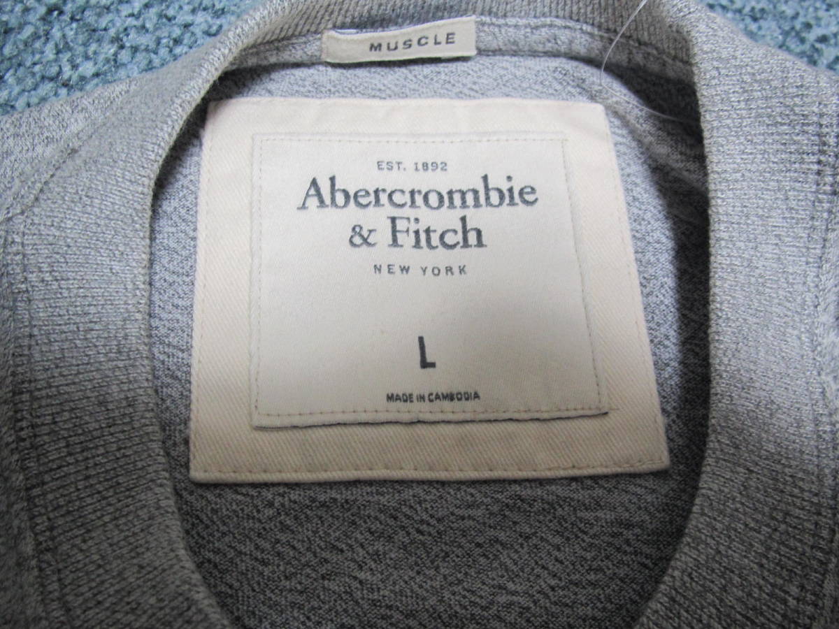新品未使用　Abercrombie & Fitch アバクロンビー&フィッチ　刺繍　ショートスリーブシャツ　GRAY　Lサイズ _画像3