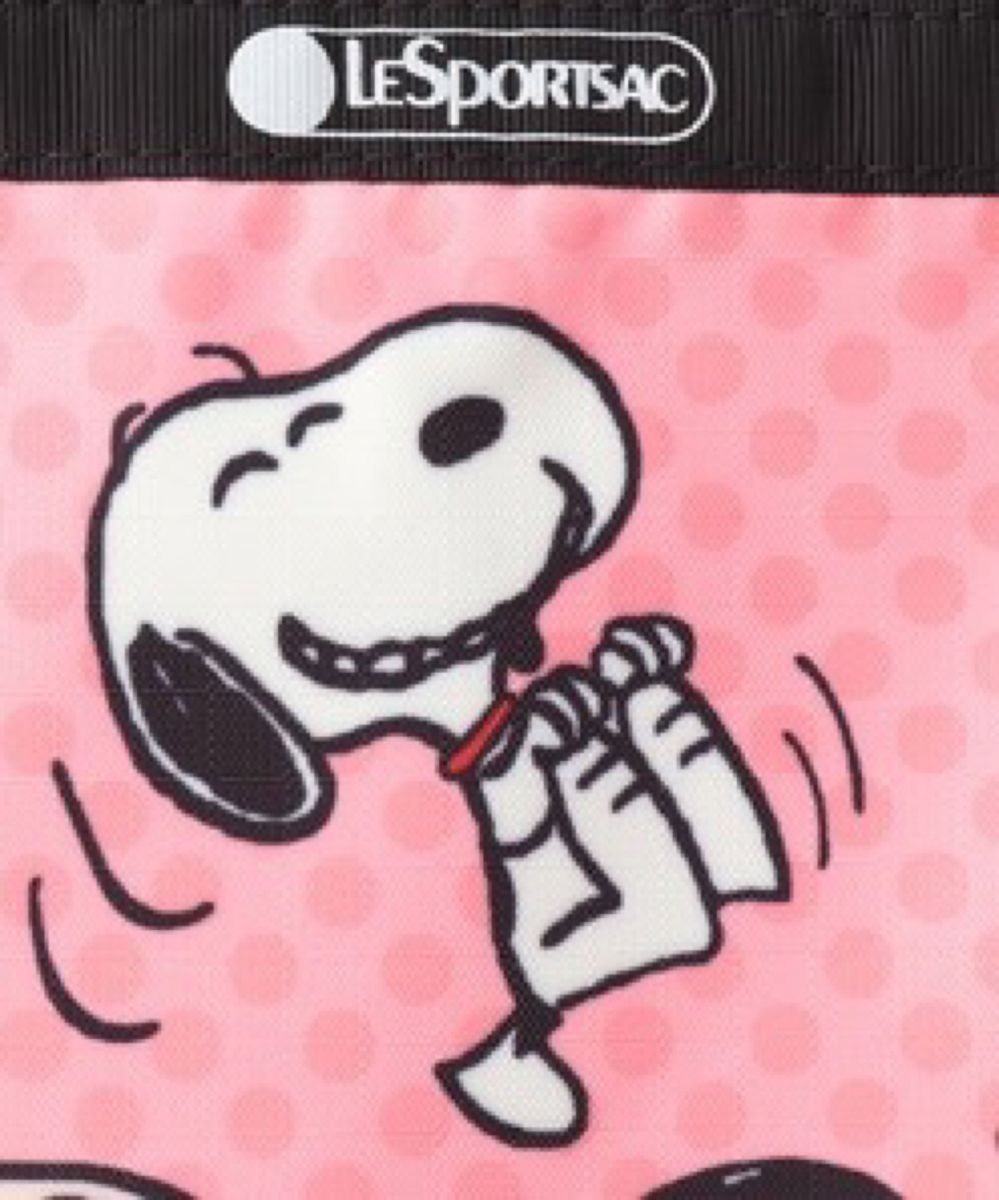 WRISTLET POUCH SETピーナッツギャングリストレット