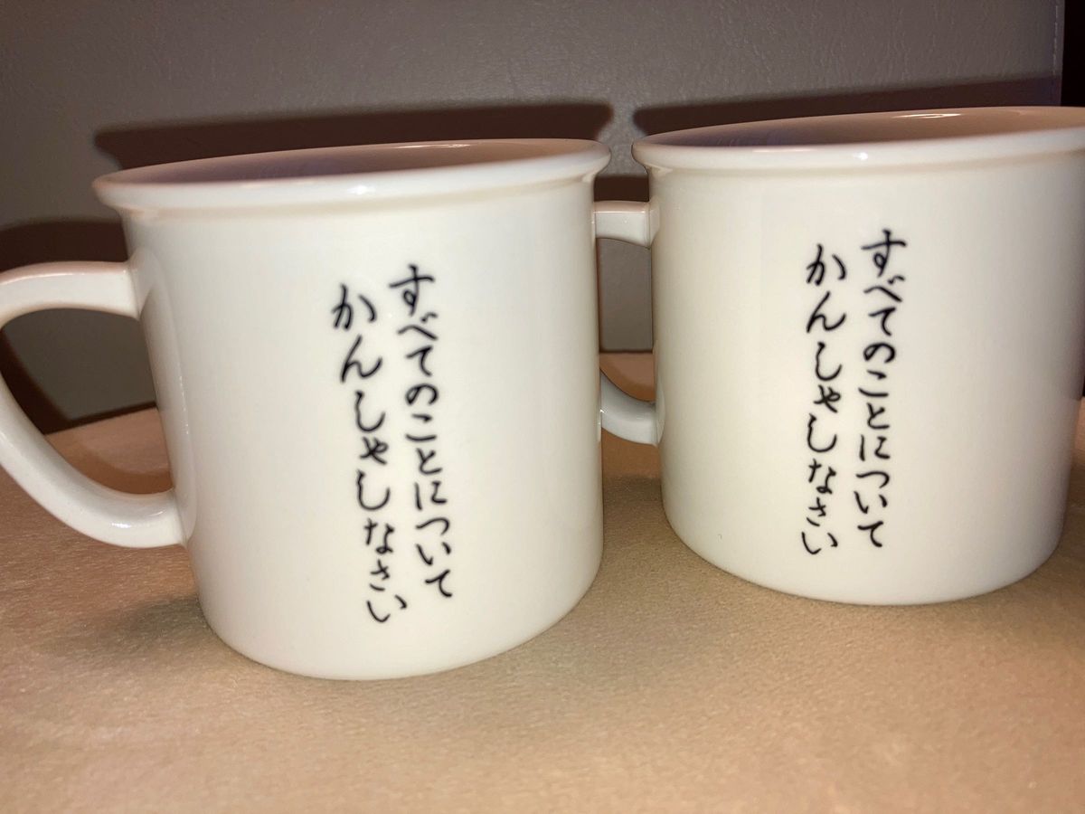 山脇百合子 やまわきゆりこ YAMAWAKI ペアマグカップ マグカップ