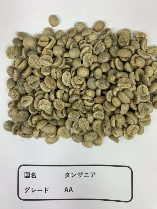 新規購入 コーヒー 生豆 「タンザニア キリマンジャロ AA」 20kg -その他