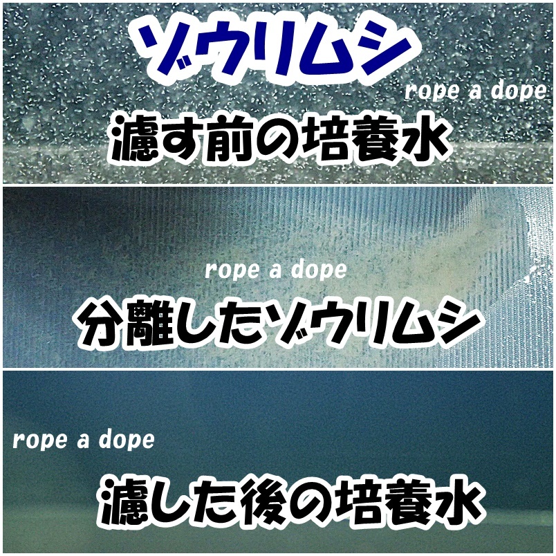 【送料込】ゾウリムシ の濾し網 1個（交換用網 3枚付）0.015 密網 ネット ブラインシュリンプ ミジンコ メダカ用等に 水槽用品 メッシュの画像4