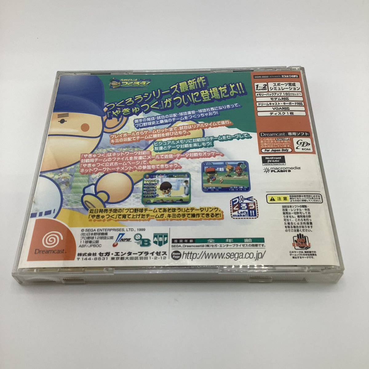 SEGA ドリームキャスト DC プロ野球チームをつくろう！スポーツ育成シュミレーション 【S30052-123】_画像2